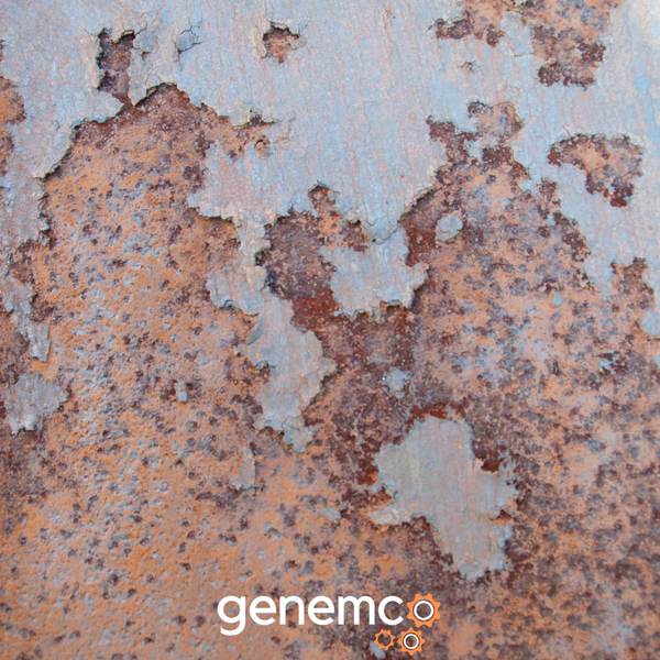 The Cost of Rust Damage on Industrial Food Processing Equipment