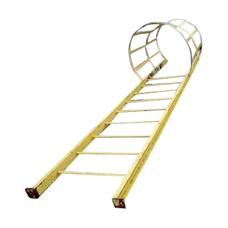 Ladder with Guard