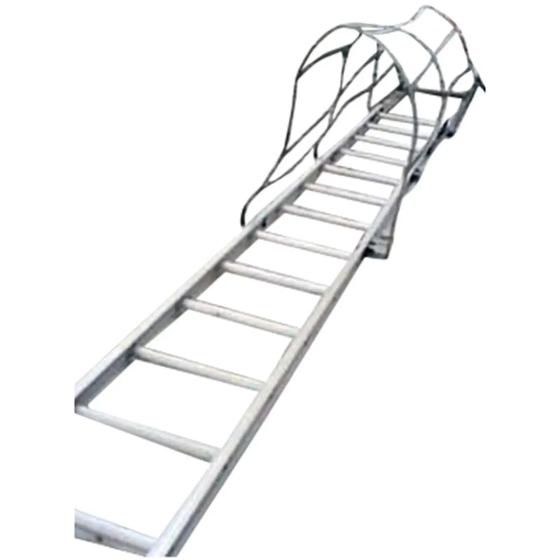 Aluminum Ladder with Safety Cage