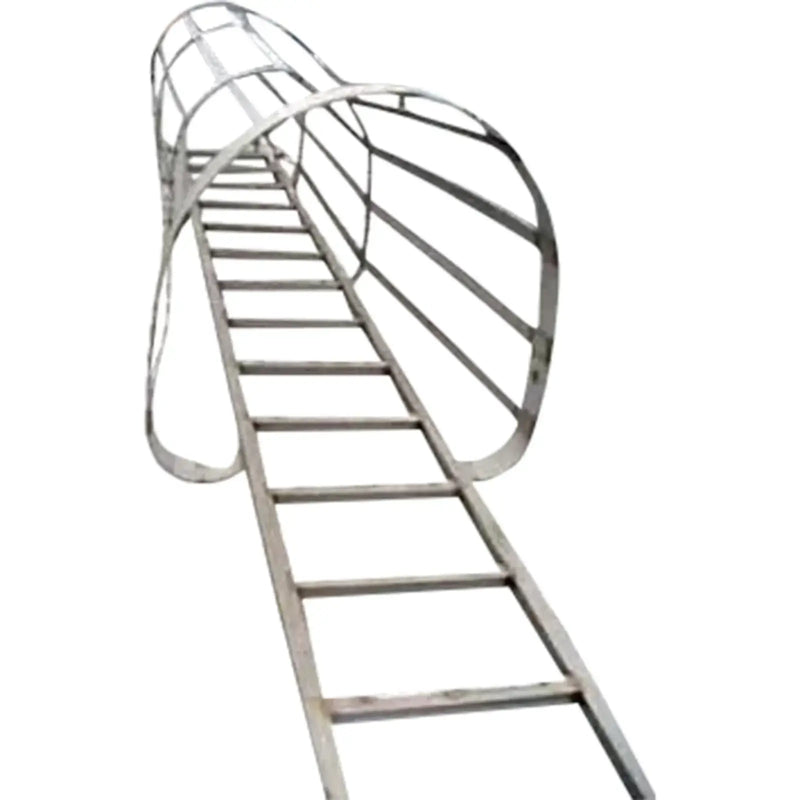 Stainless Steel Ladder with Safety Cage