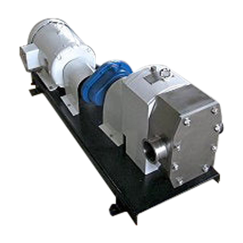 APV R-Series Positive Displacement Pump APV 