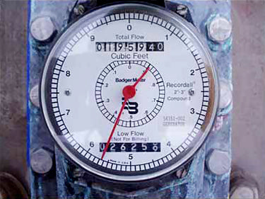 Badger Metering System Brass In-Line Water Meter Badger Metering System 