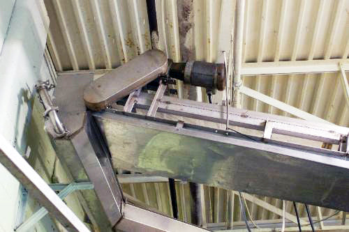 Stainless Steel Belt Conveyor Not Specified 