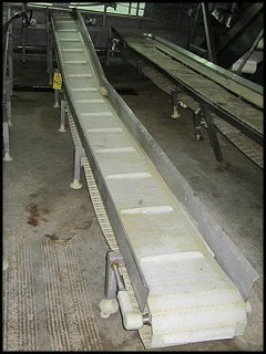 Stainless Steel Conveyor - 12 in. Wide Not Specified 