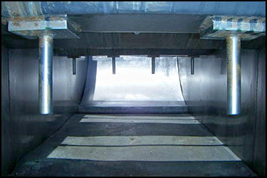 Stainless Steel Dolly Parton Wash Tank with Stainless Chain Conveyor Not Specified 