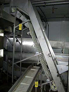 Stainless Steel Incline Conveyor - 18 in. wide Not Specified 
