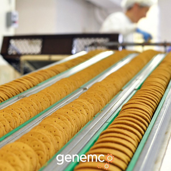 Benefits of Using Conveyors in Food Processing