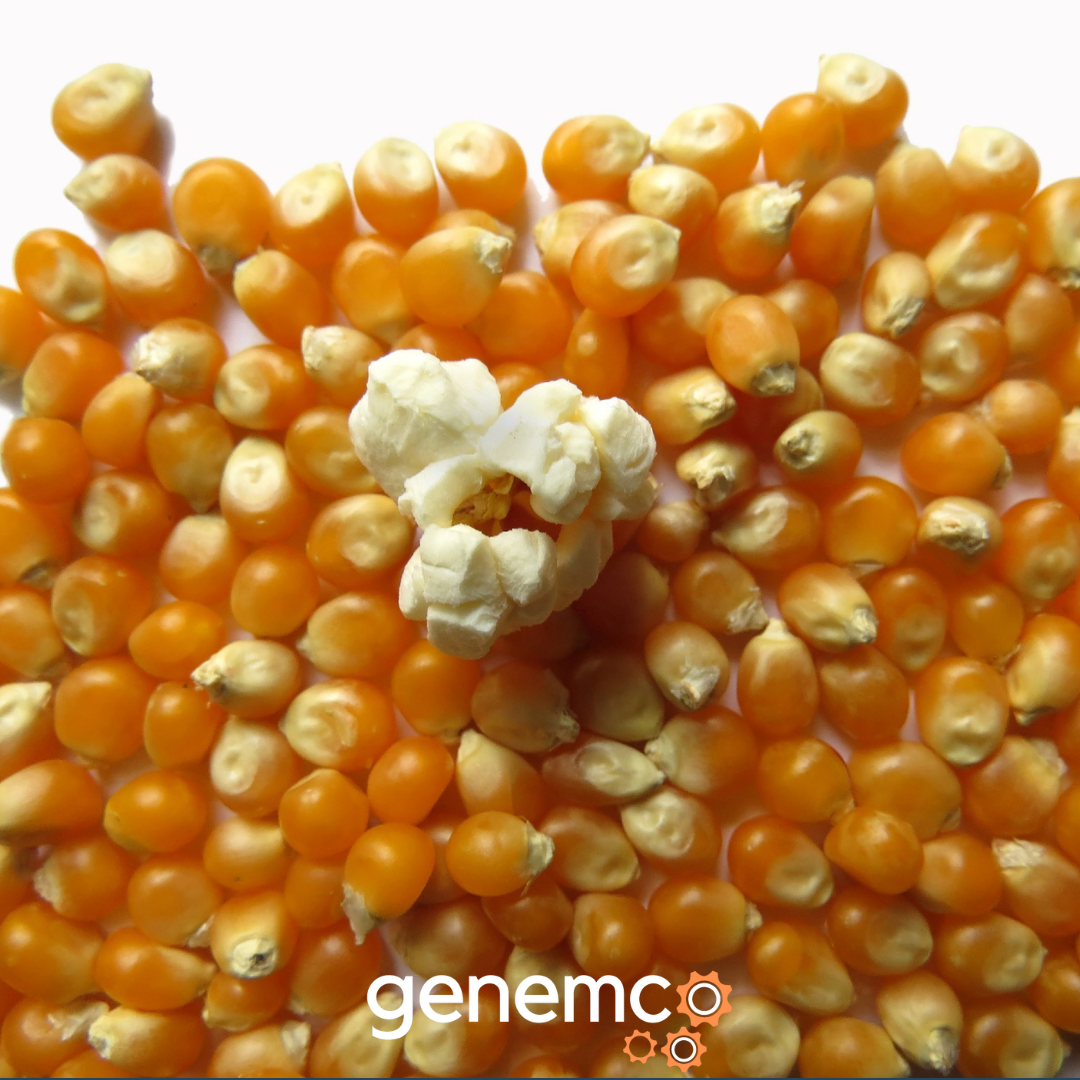 How Food Manufacturers Produce Popcorn