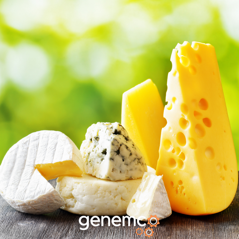 Say Cheese! - The Varieties, Types of Cheese, and Their Production Methods