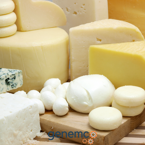 Exploring the Different Stages of Cheese Production