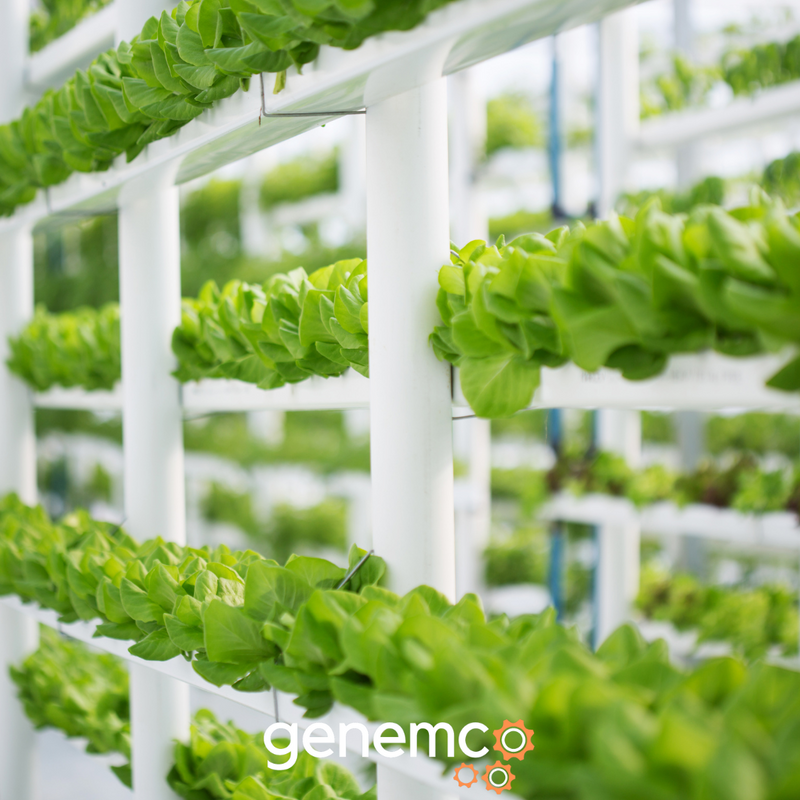 Vertical Farming - The future of agriculture