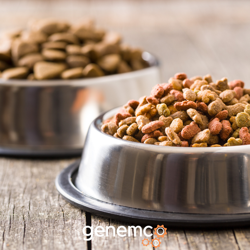 The Important Steps Involved in Making and Packaging Dry Dog Food
