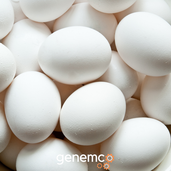 How to Optimize Packaging Processes for Industrial-Scale Egg Production