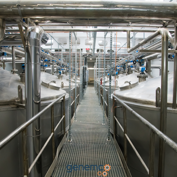 Exploring Types of Industrial Food Processing Equipment