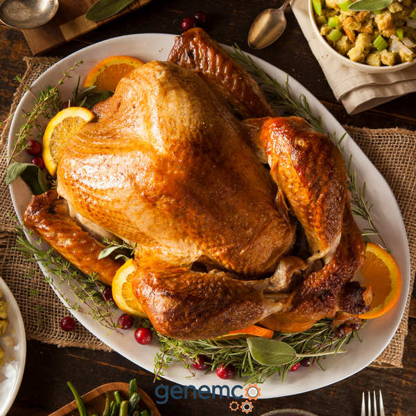 From Farm to Feast: How Food Processors Prepare Packaged Turkeys for Thanksgiving