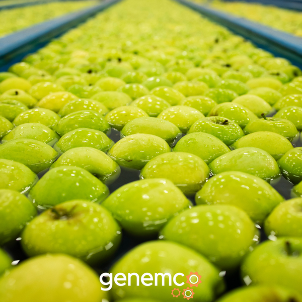 The Benefits of Automation in Large-Scale Fruit Processing and Packaging