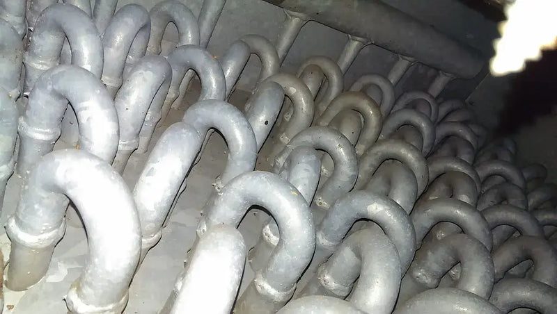 Túnel congelador IQF de Cloudy &amp; Brittons: 12 000 lb/hora