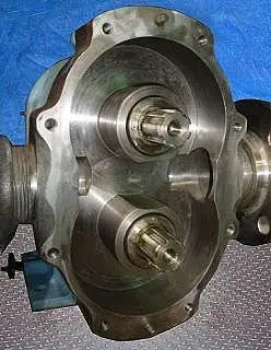 Waukesha Model 125 Positive Displacement Pump