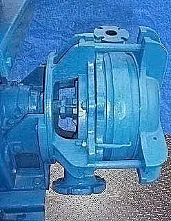 Morris 2RX Centrifugal Pump (15 HP, 250 GPM Max)