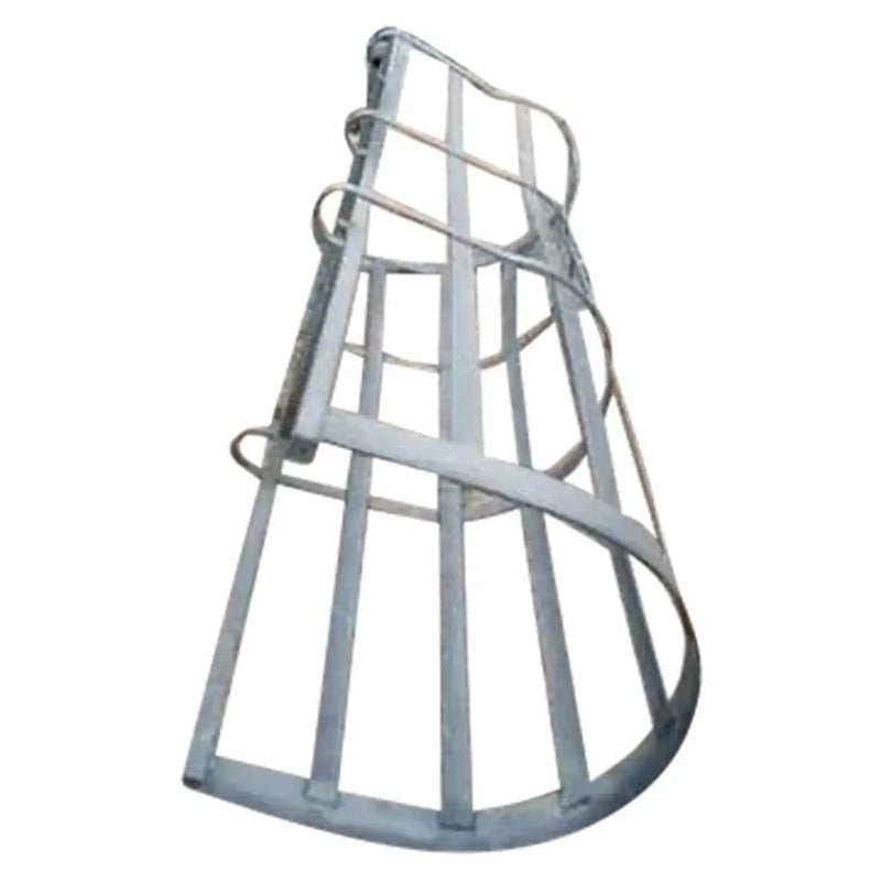 Galvanized Steel Ladder with Safety Cage