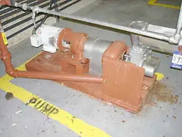 Stainless Steel Double Rotary Pump