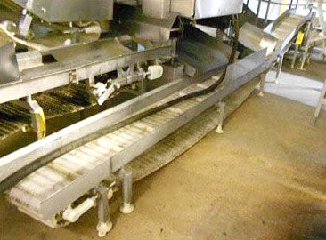 Stainless Steel Slight Incline Conveyor - 12 in. wide Not Specified 